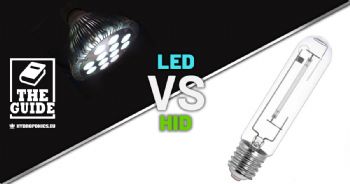 LED or HID lights? Important questions to consider